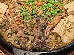 -老板恋上鱼(印象城店)