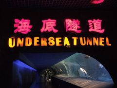 -太平洋海底世界