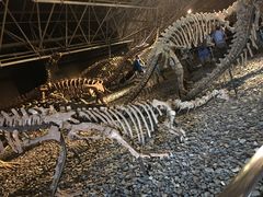 -世界恐龙谷景区