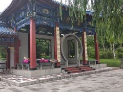 -雁滩公园
