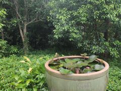 -深圳国际园林花卉博览园