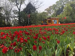 -南山植物园