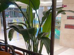 -旺顺阁鱼头泡饼(常营店)