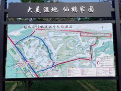 -盐城丹顶鹤湿地生态旅游区