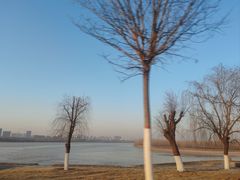 -九田家黑牛烤肉料理(聊城东昌府区万达店)