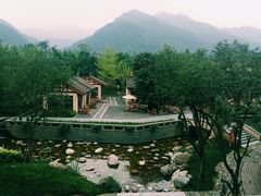 -张醪糟