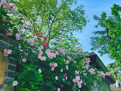 -颐和路民国时期公馆风貌区