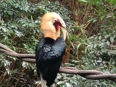 -广州长隆野生动物世界