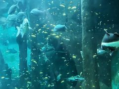 -福州罗源湾海洋世界旅游区