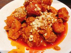 -爆炸头阿姨小四川正宗川味小吃(无任何分店)