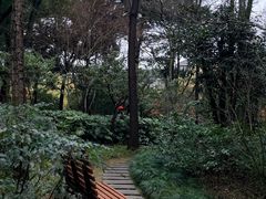 -汇龙潭