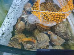 -四海蒸鲜蒸汽海鲜自助(北戴河店)