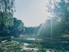 -洛阳市隋唐城遗址植物园