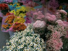 -循礼门鲜花花市(武汉循礼门店)