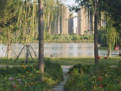 -咸阳湖景区-古渡公园