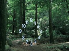 -波尔登森林公园