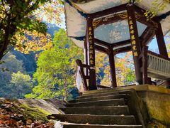 -花岩国家森林公园