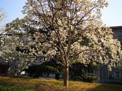-山东师范大学(千佛山校区)