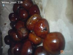 栗子-小宝栗子(嘉华国际商业中心店)