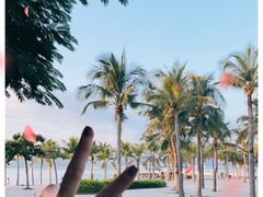 -三亚西岛海洋文化旅游区