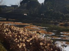 -兰亭风景区