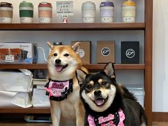 -Line 咖啡(石厦花园店)