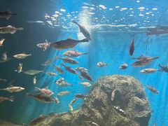 -海合安青岛极地海洋公园