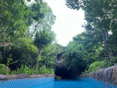 -苏州乐园森林水世界