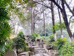 -桂湖森林公园