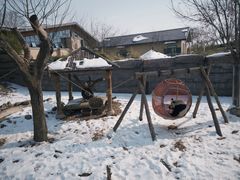 -石家庄市动物园