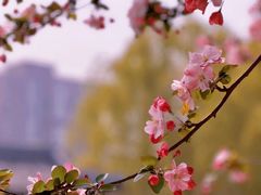 -海棠花溪(元大都城垣遗址公园)