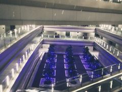 -南京禄口机场雅高铂尔曼大酒店