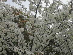 -滆湖低碳生态公园