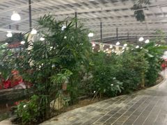 -兴芮温泉度假区