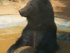 -昆明动物园