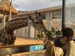 -西霞口神雕山野生动物世界