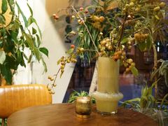 -蝶舍·MAISON PAPILLON