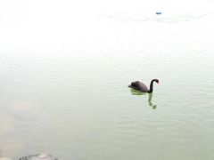 -上海怡沁园度假酒店