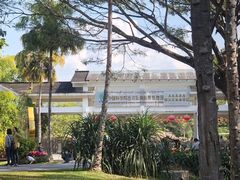 -中国科学院西双版纳热带植物园