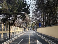-颐和路民国时期公馆风貌区
