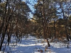 -帽儿山国家森林公园