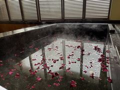 -春晖园度假酒店温泉