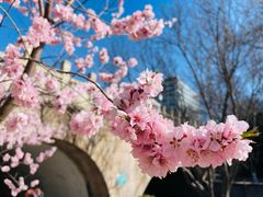 -元大都城垣遗址公园