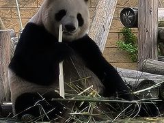 -杭州野生动物世界
