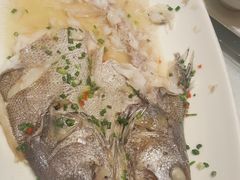 -骏莱海鲜鱼港(五角场店)