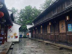 -西溪国家湿地公园