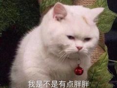 -爱维尔阳光蛋糕(独墅湖邻里中心店)