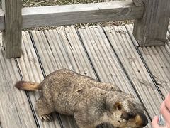 -黄河九曲第一湾