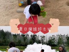 -前小桔亲子创意农场·草莓采摘·露营烧烤