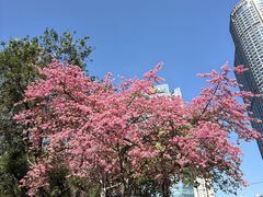 -天河体育中心